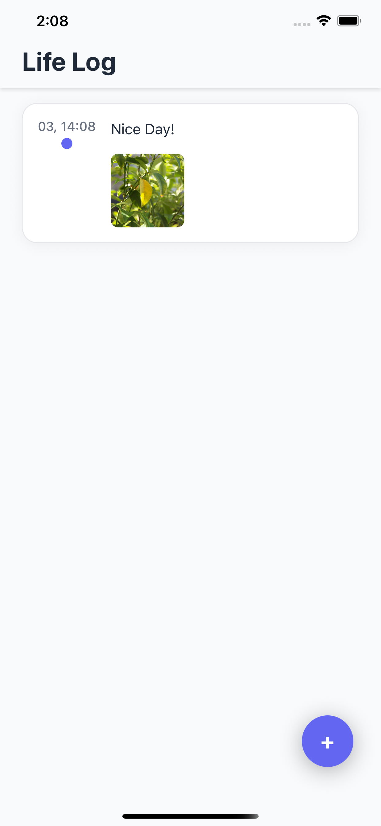 Life Logger - Timeline with Entry